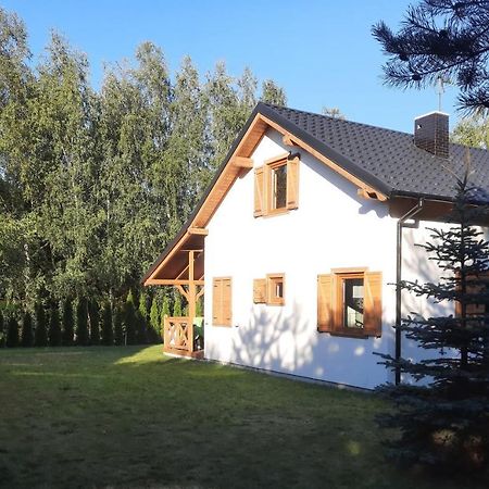 Domek Caloroczny Nad Jeziorem Budzislawskim, Wielkopolska Na Wynajem Anastazewo Dış mekan fotoğraf