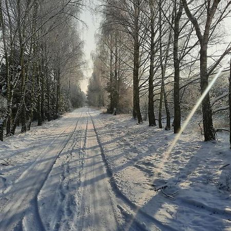 Domek Caloroczny Nad Jeziorem Budzislawskim, Wielkopolska Na Wynajem Anastazewo Dış mekan fotoğraf