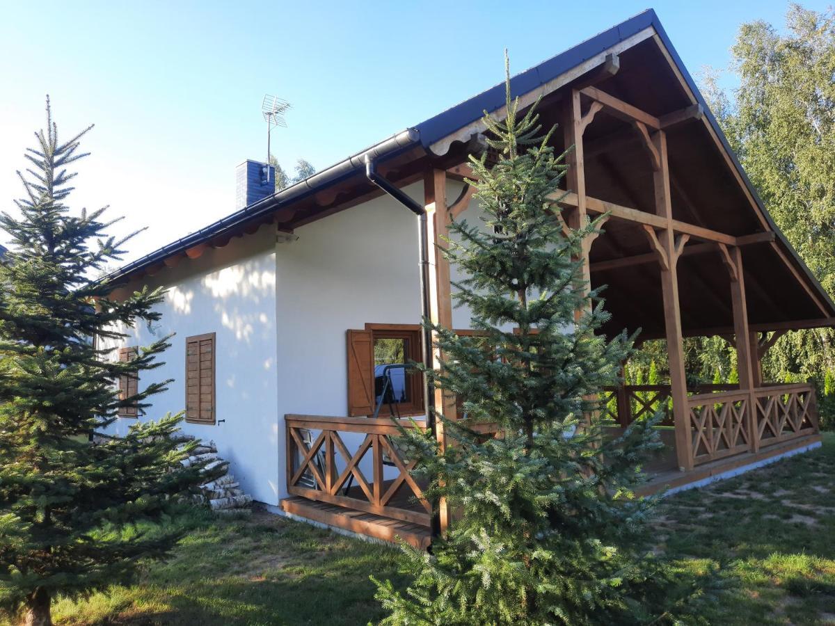 Domek Caloroczny Nad Jeziorem Budzislawskim, Wielkopolska Na Wynajem Anastazewo Dış mekan fotoğraf