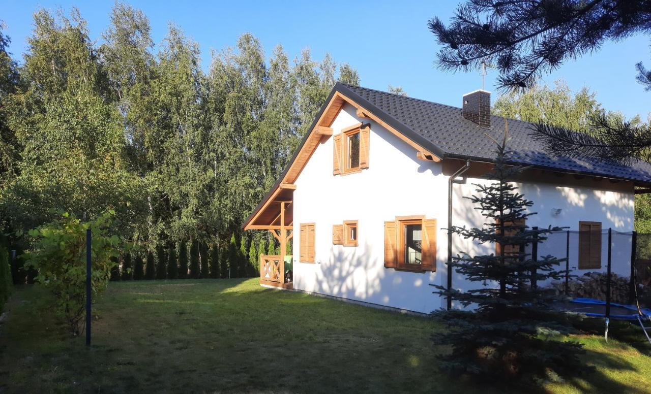 Domek Caloroczny Nad Jeziorem Budzislawskim, Wielkopolska Na Wynajem Anastazewo Dış mekan fotoğraf