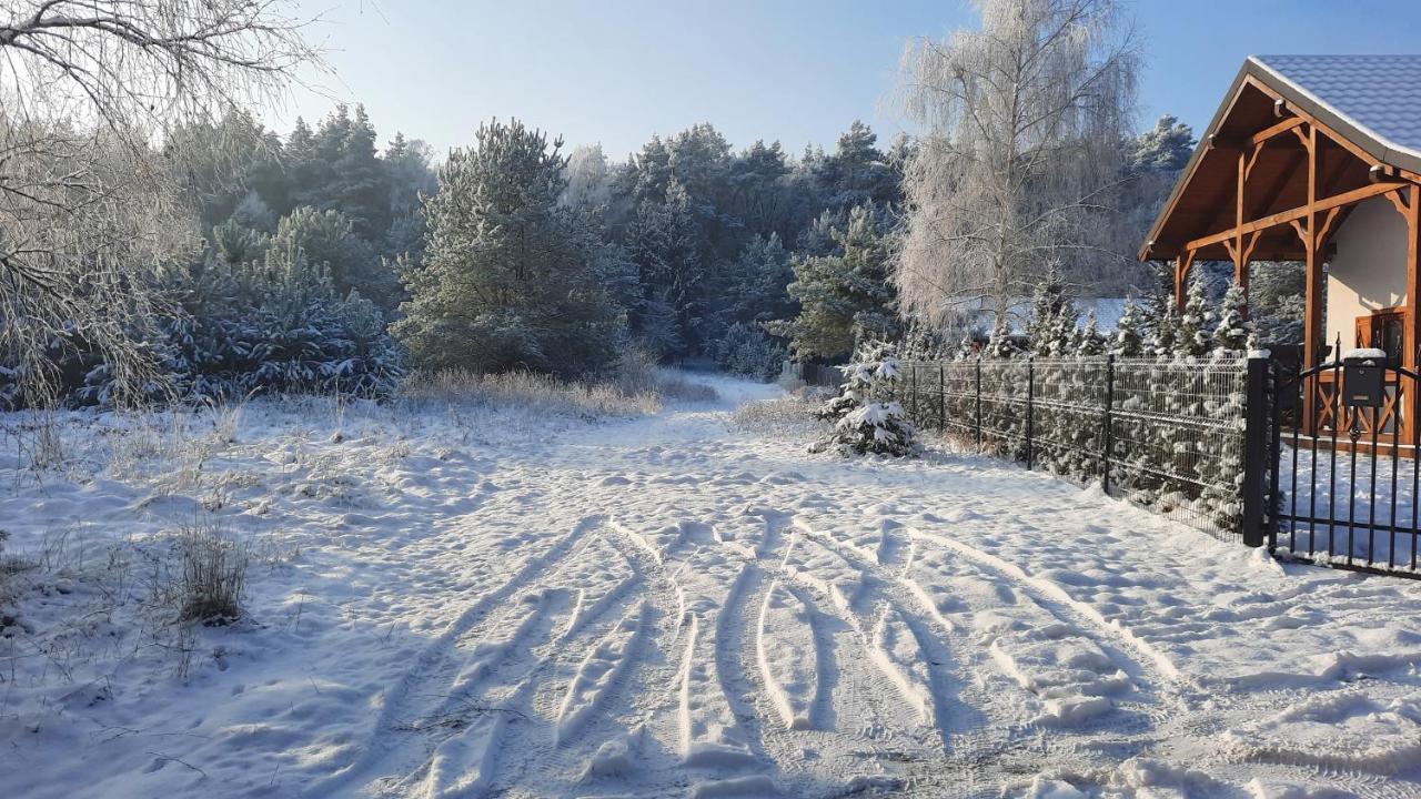 Domek Caloroczny Nad Jeziorem Budzislawskim, Wielkopolska Na Wynajem Anastazewo Dış mekan fotoğraf