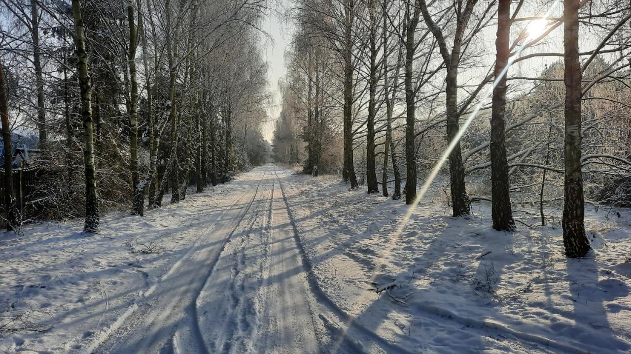 Domek Caloroczny Nad Jeziorem Budzislawskim, Wielkopolska Na Wynajem Anastazewo Dış mekan fotoğraf