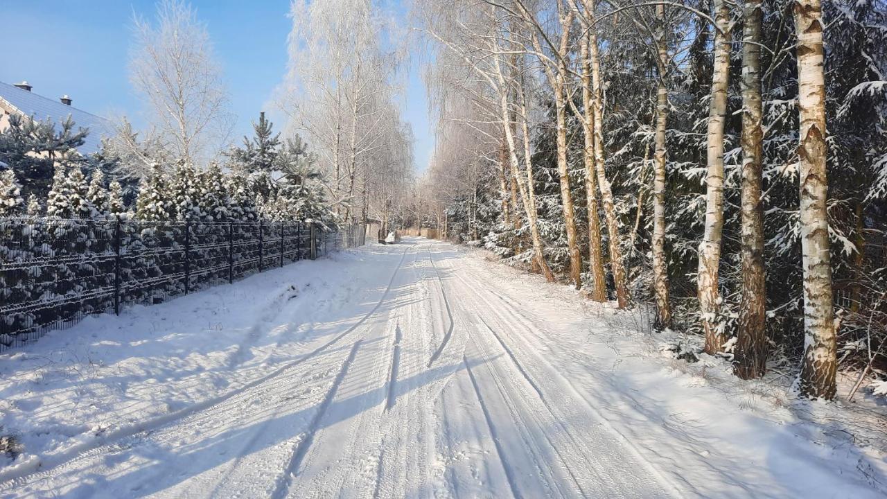 Domek Caloroczny Nad Jeziorem Budzislawskim, Wielkopolska Na Wynajem Anastazewo Dış mekan fotoğraf